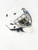 Used SPORTMASK JR Junior Goalie Helmet/Mask White XS 11891-S000322966 View 1