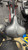 Used Stamina AIR BIKE Dual Action Bike 11337-S000496661 View 2