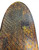 Used GLOBE Complete Skateboard Brown 6 1/2" 11774-S000090270 View 6