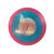 Used Dynamic Discs SOCKIBOMB RAPTOR EYE FUZION ENFORCER Disc Golf Driver Pink 176g 10313-S000289748 View 1