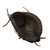 Used Nokona X2 ELITE BUCKAROO BB/SB FP Catchers RH Throw Brown 32 1/2" 11484-S000313106 View 2