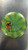 Used STREAMLINE TACO BEAR TRACE Disc Golf Driver Green 11477-S000218531 View 1