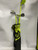 Used TOUR LOGIC JUNIOR SET Jr Package Set RH Yellow 5 Piece 11895-S000035868 View 4
