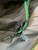 Used Demarini BB/SB 2 BAT BACKPACK BB/SB Player Backpack Green 11614-S000244201 View 2