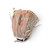 Used Rawlings HIGHLIGHT BB/SB Glove RH Throw White 12" 11450-S000529244 View 1