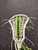 Used Brine ALLURE Wmn Atk/Mid Complete Stick White 11162-S000466235 View 3