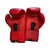 Title, Boxing Gloves View 2