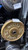 Used Weider Standard Plate (Each) 10 lb 11605-S000227730 View 1