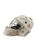 Used Warrior RXF1 SR+ S/M GOALIE HELMET Senior Goalie Helmet/Mask White S/M 11814-S000405282 View 2