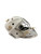Used Warrior RXF1 SR+ S/M GOALIE HELMET Senior Goalie Helmet/Mask White S/M 11814-S000405282 View 1
