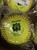 Baseball and Softball Softballs View 1
