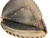 Used Rawlings RENEGADE BB/SB Catchers RH Throw Brown 32 1/2" 11899-S000031576 View 2