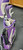 Used Powerbilt 5 PIECE WITH BAG Jr Package Set RH Purple 5 Piece 11497-S000161981 View 2