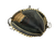 Used Wilson A700 BB/SB Catchers RH Throw Black 32 1/2" 11613-S000190985 View 3