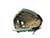 Used IMPACT TEAL/GREY BB GLOVE BB/SB Glove RH Throw Teal 11 1/4" 11818-S000186986 View 1
