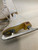 Used Riedell WHITE Girls Figure Skate White Youth 10.0 11823-S000042192 View 4