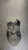 Used Adidas CHEST PROTECTOR Catchers Chest Protector Black Youth 11831-S000036138 View 2