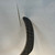 Used Bauer PROTO R Senior One Piece Right 87 Flex 11878-S000031863 View 5