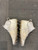 Used Under Armour Adult FB Cleats White Senior 10.5 11614-S000245370 View 2