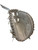 Used Mizuno GXS50MVPS Softball Catchers RH Throw White 34" 10313-S000290832 View 1