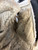 Used Bauer S150 Junior Goalie Blocker White 11860-S000316966 View 3