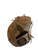 Used Marucci CATCHERS MITT BB/SB Catchers RH Throw Brown 32 1/2" 11861-S000037597 View 1