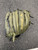 Used Mizuno MVP PRIME BB/SB Glove RH Throw Green 11 1/2" 11894-S000063299 View 3