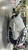 New Marucci CADDO Catch Mit 11605-MRCCADDOCM View 2