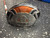 Used Ping G10 Mens Fairway Wood RH 5 Wood 11162-S000468630 View 1
