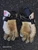 Used Warrior RABIL NEXT Lacrosse Gloves Junior White XS 11849-S000045214 View 2