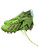 Used Adidas Adult FB Cleats Neon Green Senior 12 11884-S000071473 View 1