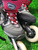 Used Rollerblade FORM FIT Senior Rec Fitness Skates Black Senior 8 11935-S000487566 View 4