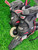 Used Rollerblade FORM FIT Senior Rec Fitness Skates Black Senior 8 11935-S000487566 View 2
