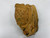Used Mizuno MZ 1320 Baseball Glove RH Throw Tan 13" 11855-S000211678 View 2