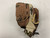 Used Mizuno Power Close Prospect GPP1001 Baseball Glove RH Throw Brown 10" 11855-S000211680 View 1