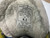 Used CCM TACKS 5092 Intermediate Hockey Skate Intermediate 4.5 11876-S000013313 View 5