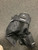 Used Warrior RUCKUS Youth Pant Black LG 11162-S000469209 View 2