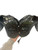 Champro SCORPION, FB Shoulder Pads, Black, Large View 1