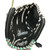 Used Rawlings FASTPITCH FP110BW LH Throw Fastpitch Gloves White 11" 11890-S000148842 View 2