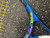 Used Wilson RAK ATTACK Junior Tennis Racquet Royal Blue 26" 11162-S000469346 View 2