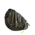 Used Rawlings LITE TOE RENEGADE LHT SZ 31.5 BB/SB Catchers LH Throw Black 31 1/2" 11479-S000434566 View 2