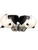Used Riddell WARRIOR II FB Shoulder Pads White SM 11799-S000205761 View 1