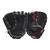 New Rawlings Renegade 14" Slowpitch Softball Glove Left Hand Throw (LHT) Black, palm view and back view View 2