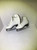 *Other Brand Skates Ice Skates / Figure Junior View 2