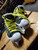 Used Graf SUPRA G4500 GOALIE SZ 5 Junior Goalie Skate Junior 05 11935-C000454527 View 2