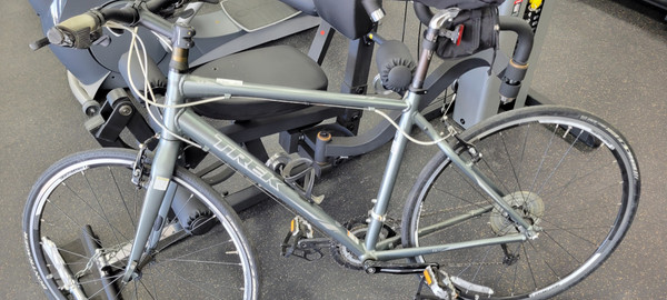 Grey Schwinn Ascension 29er Used Schwinn ASCENSION 29 Mountain Bike Mens Black 58-61cm 23-24 Grey Schwinn Ascension 29er Used Schwinn ASCENSION 29 Mountain Bike Mens Black 58-61cm 23-24