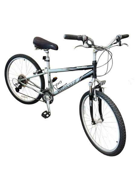 Used Diamondback ASCENT EX Mountain Bike Mens Green 48-52cm - 19