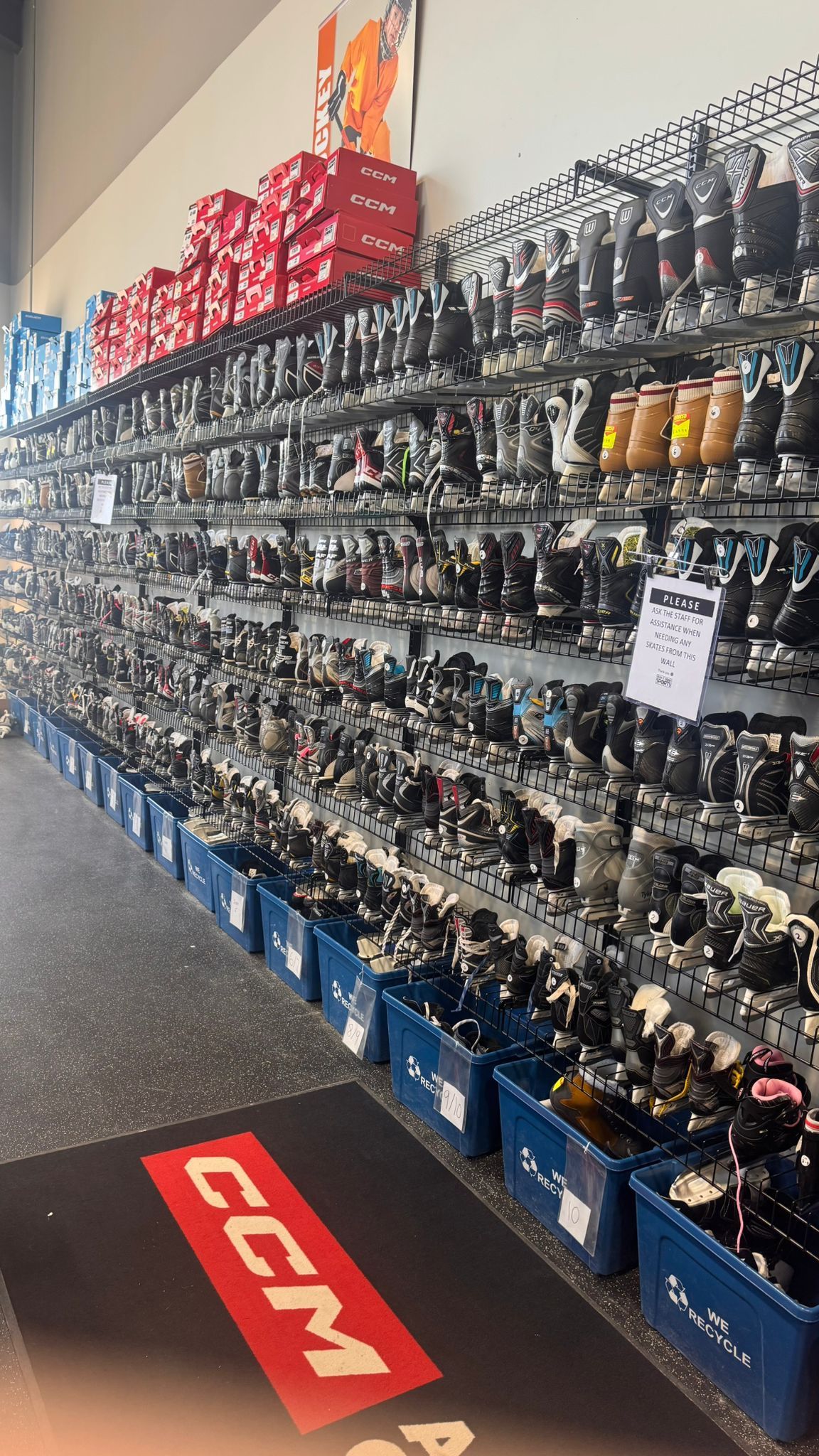 skates