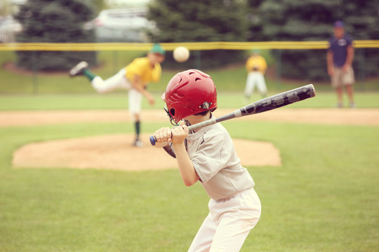 Baseball and Softball Equipment in Brandon Florida