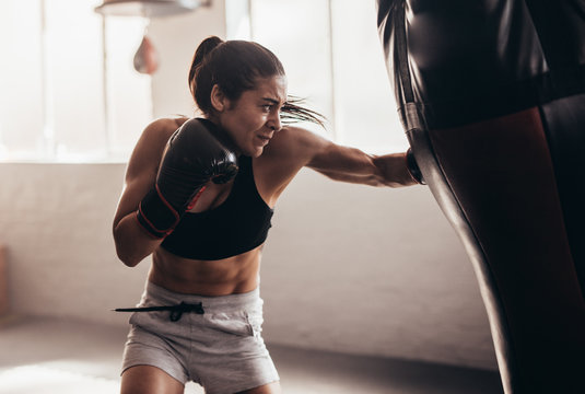 Boxing and wrestling equipment